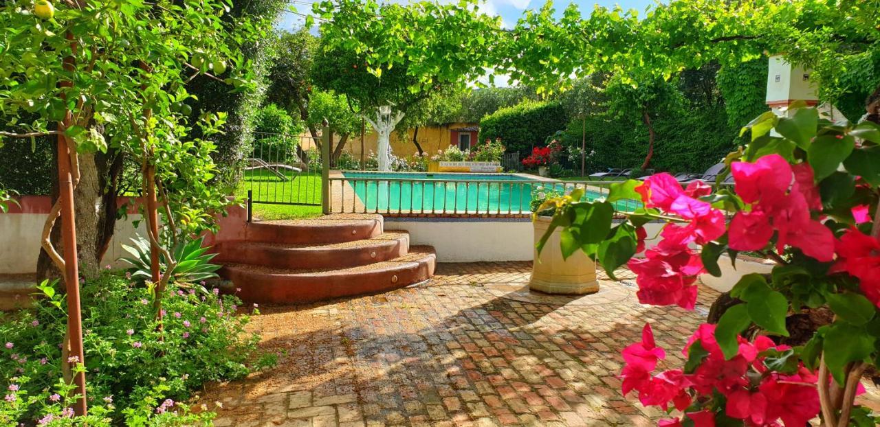 Villa Cortijo El Triguero N-398 Ctra Carmona - El Viso Del Alcor Km 18 Esterno foto