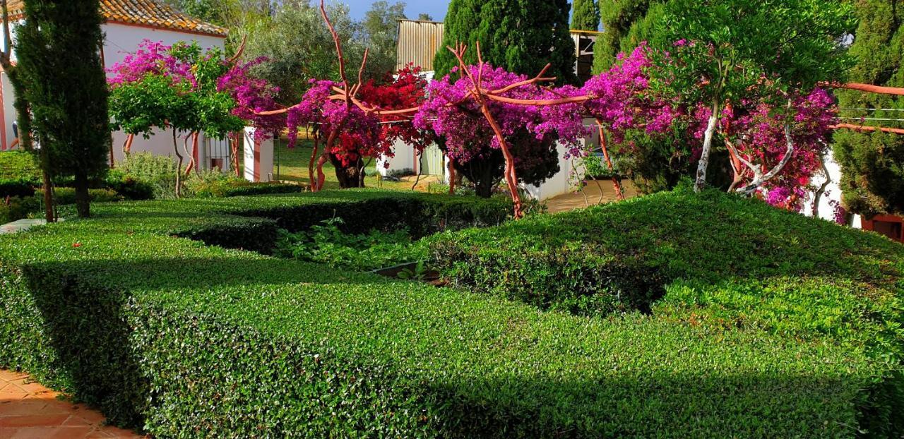 Villa Cortijo El Triguero N-398 Ctra Carmona - El Viso Del Alcor Km 18 Esterno foto